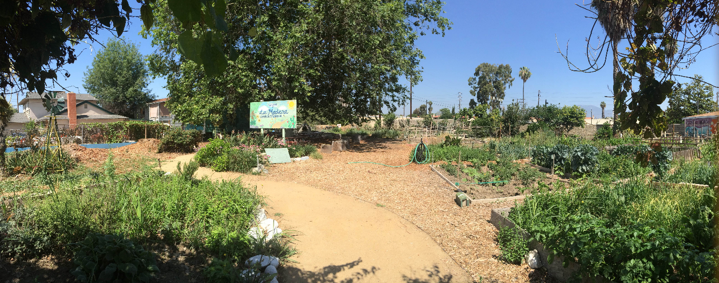 Visit La Madera Community Garden Los Angeles Community Garden