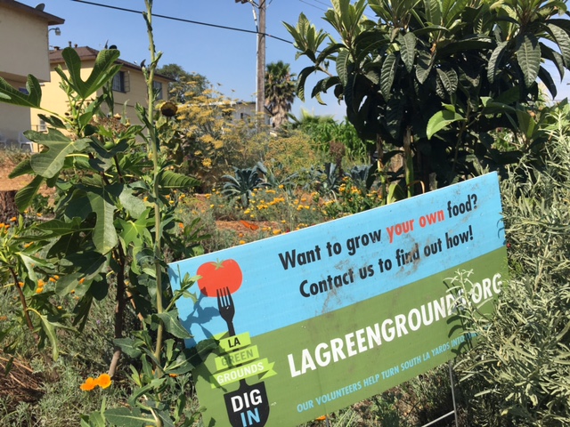 Meet LA Green Grounds Teaching Garden at Good Earth Community Garden
