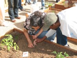 Grow LA Victory Garden Classes — starting May 16 and 31